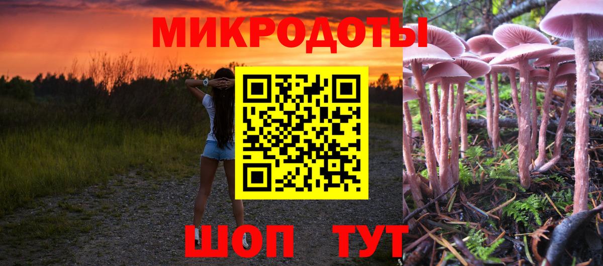 Псилоцибиновые грибы Magic Shrooms  Псилоцибиновые грибы Psilocybe  Сланцы  купить наркотики цена  Вход с VPN 